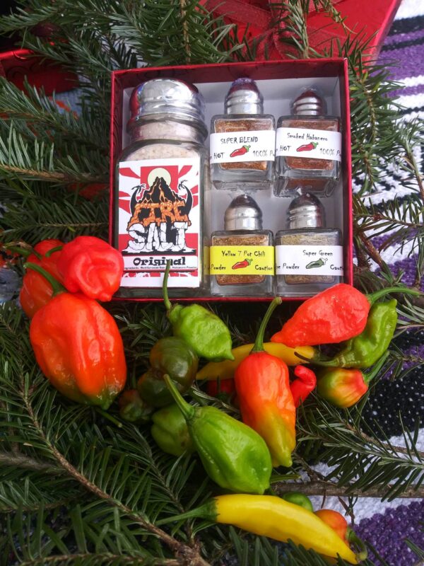 Seasonal Gift Set – Limited Edition Spice Sampler - Image 2